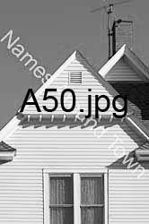 A50