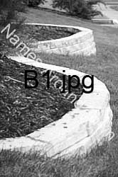 B1