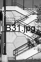 B31