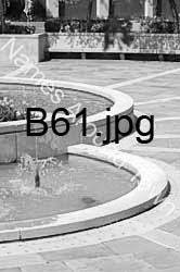 B61