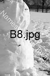 B8