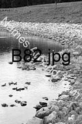 B82