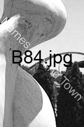B84