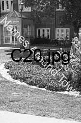 C20