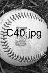 C40