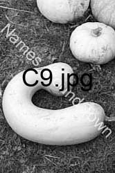 C9