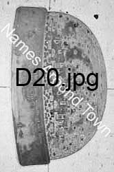 D20