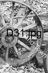 D31