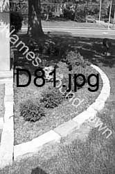 D81