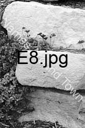 E8