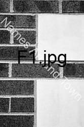 F1