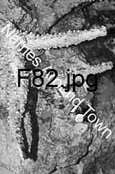 F82