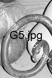 G5