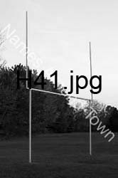H41