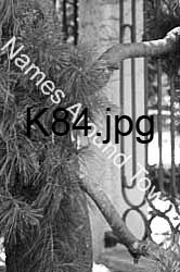 K84