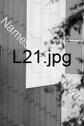 L21