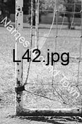 L42