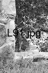 L91