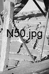 N50