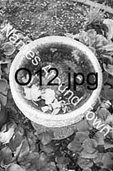 O12