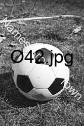 O42