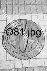 O81