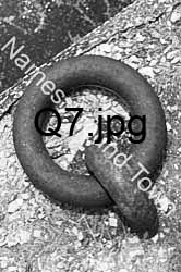 Q7