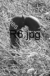 R6
