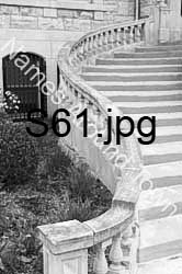 S61