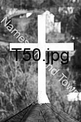 T50