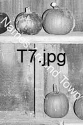 T7
