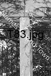 T83