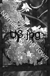 U3
