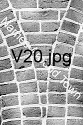 V20