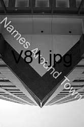 V81