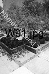 W91