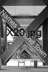 X20