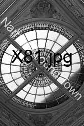 X81