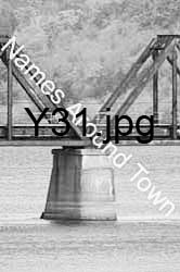 Y31