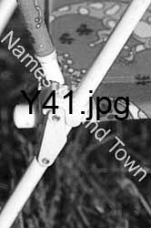 Y41