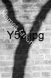 Y52