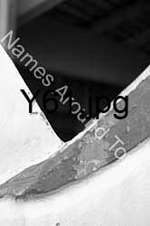 Y61