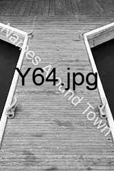 Y64