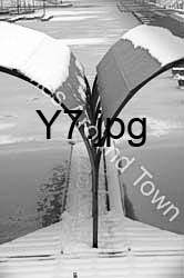 Y7