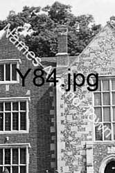 Y84