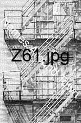 Z61