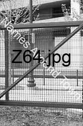 Z64