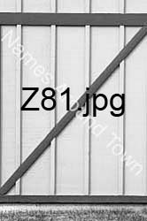 Z81