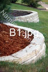 B1