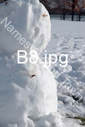 B8